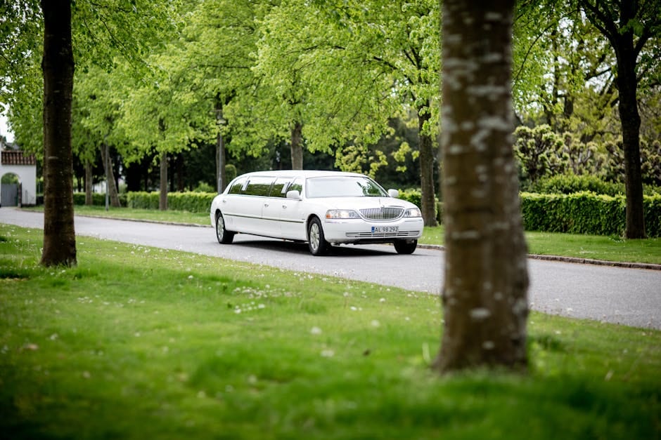 Limousines Rentals