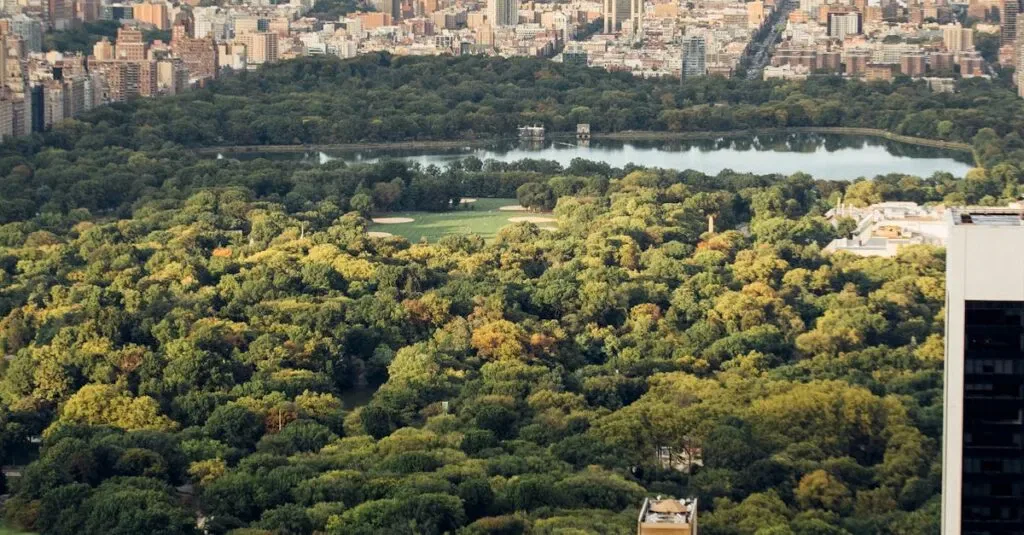 Q. What Services Does Your Limo Service In Boise Offer?