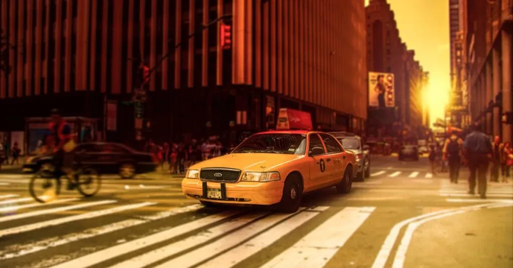 Airport Meet And Greet