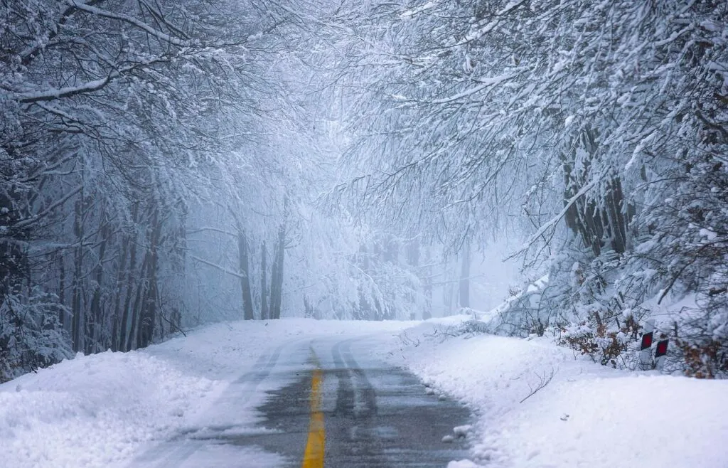 Best Cars For Upstate Ny