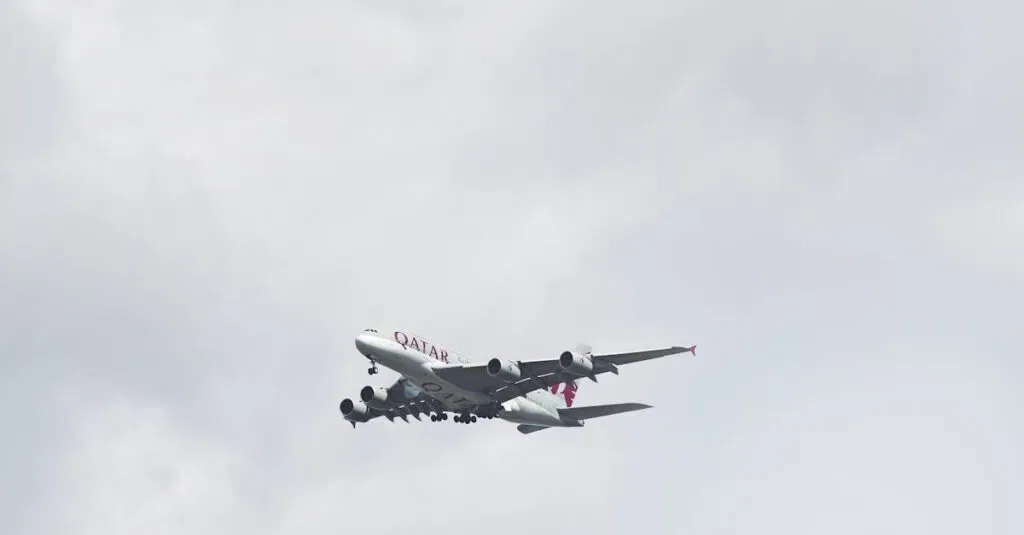 Best Ewr Car Service