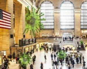 Q. How Long Does A Round Trip From Nyc To La Typically Take?