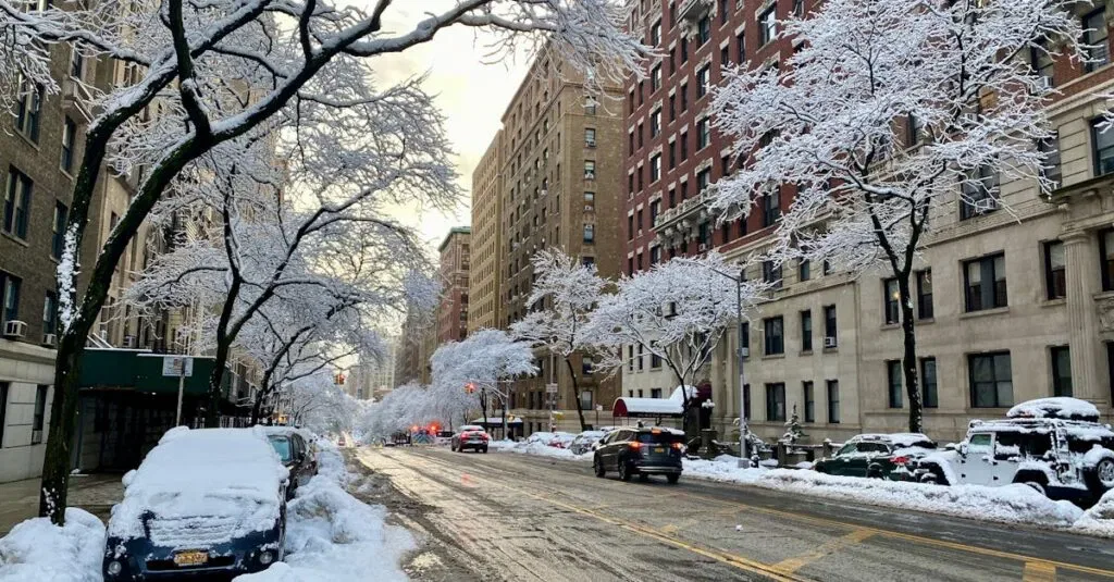 Black Car Jfk Airport Limo