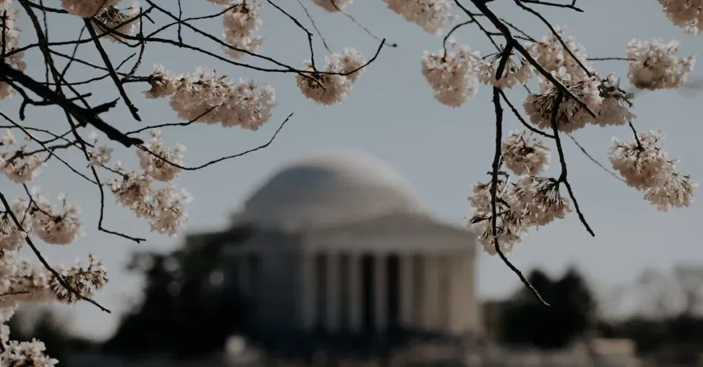 Brooklyn To Washington Dc