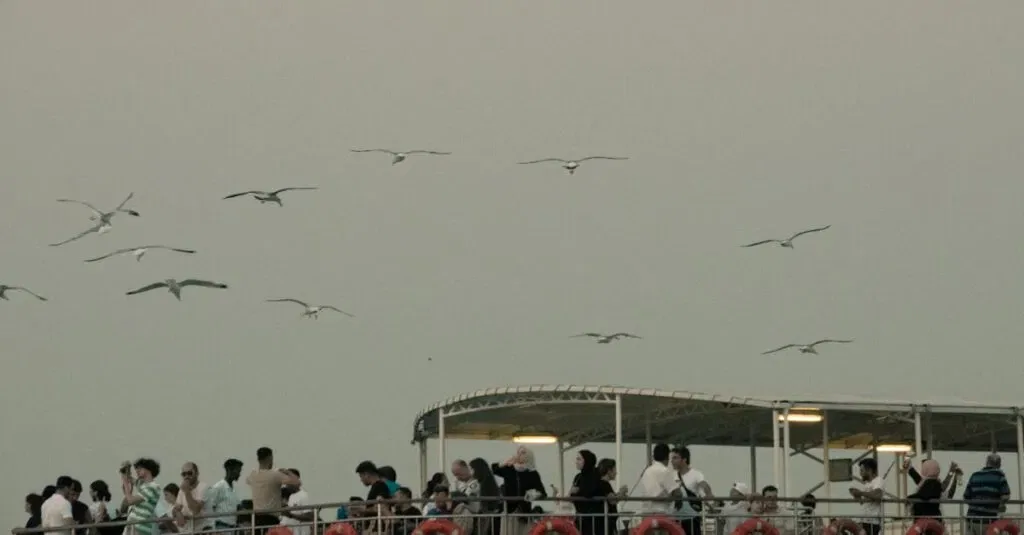 Booking A Car Service