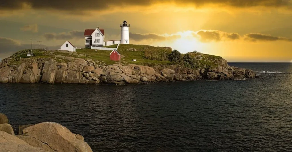 Bus From Long Island To Washington Dc