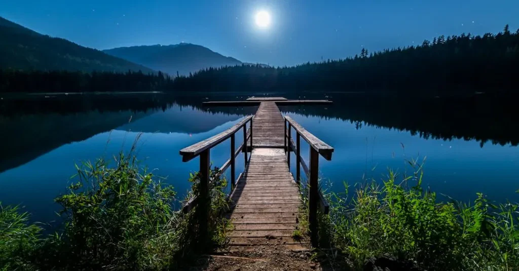 Bus Nyc To Dc Luxury: Bus Travel Comforts At Its Best 1 April 15, 2026 Discover Tranquility At A Moonlit Dock In Whistler, Bc, Under A Starry Sky.