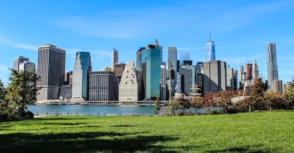 Black Cab Service Nyc