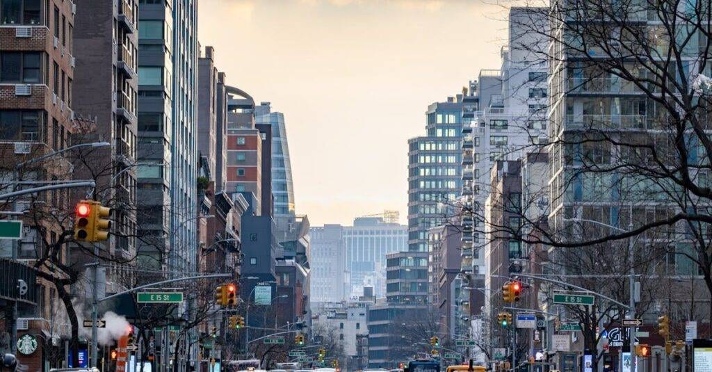 Bus Ride From Dc To Nyc