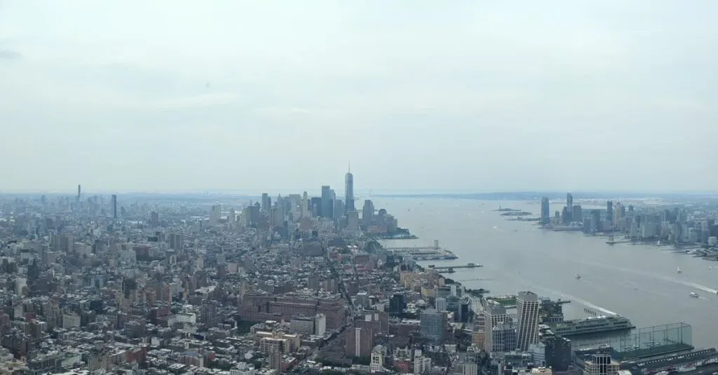 Car And Driver Service