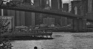 New York City (Nyc) Article &Amp; News 4 May 25, 2026 New York City (Nyc) Article &Amp; News Freeman May 25, 2026