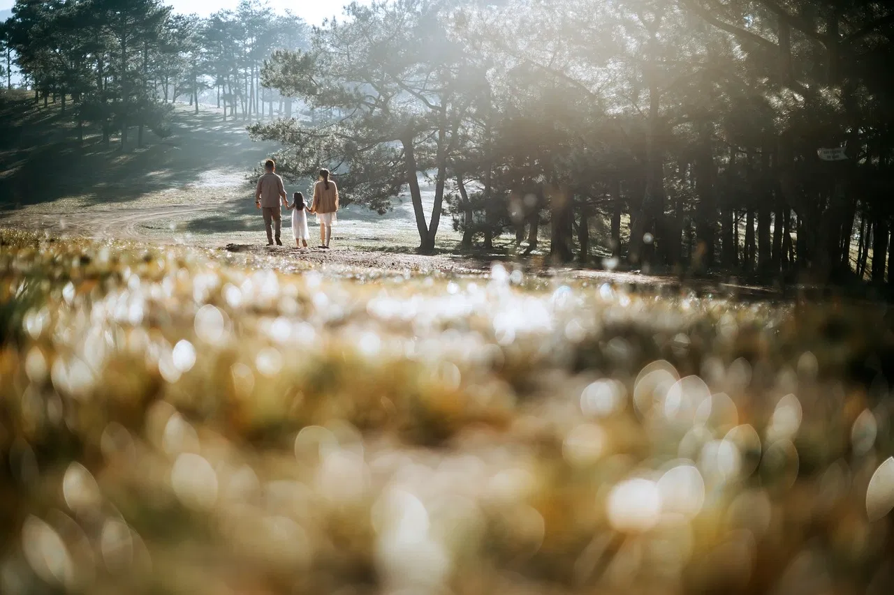 How To Transfer From Mechanicville To Jfk Airport , Ny?