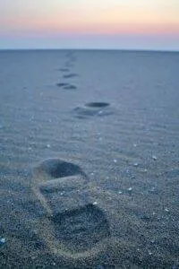 Q. How Can I Book Transportation Services From Iah To Pit?