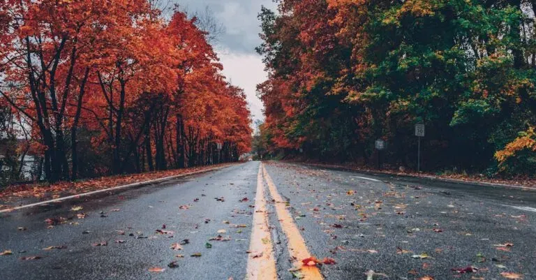 Q. What Is Carvel Yonkers Ny?