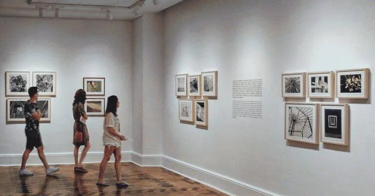 Q. What Types Of Tours Does Viator Offer In Amsterdam?