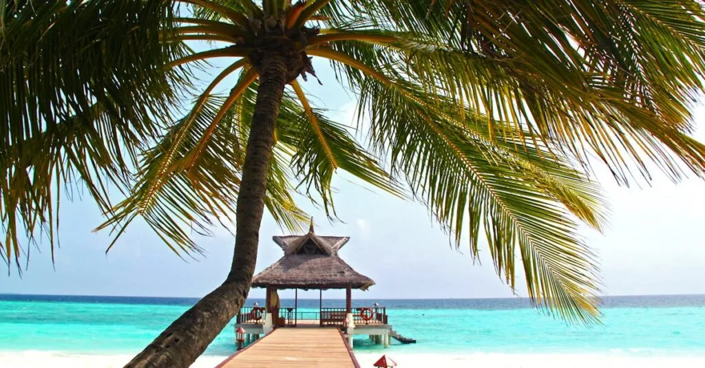 Luxury Travel Service: 7 Unforgettable Perks for a Dream Getaway 2 luxury travel service