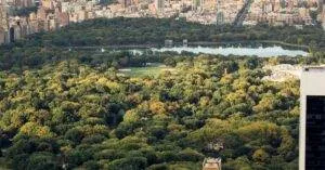 Q. What Services Does Your Limo Service In Boise Offer?