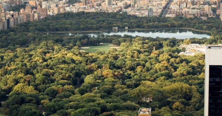 Q. What Services Does Your Limo Service In Boise Offer?