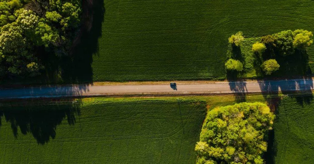 Aerial Shot Of A Car Driving On A Tranquil Road Through Lush Green Countryside On A Sunny Day.