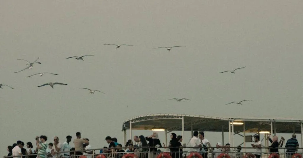 Booking A Car Service