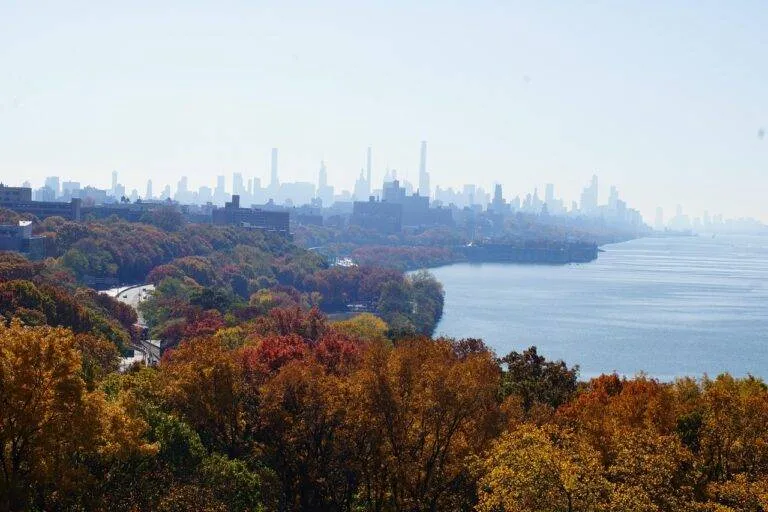 Trees, River, City, Skyline, Buildings, Skyscrapers, Scenery, Autumn, Fall, Hudson River, Nyc, New York, Manhattan, Hudson River, Hudson River, Nature, Hudson River, Hudson River, Hudson River