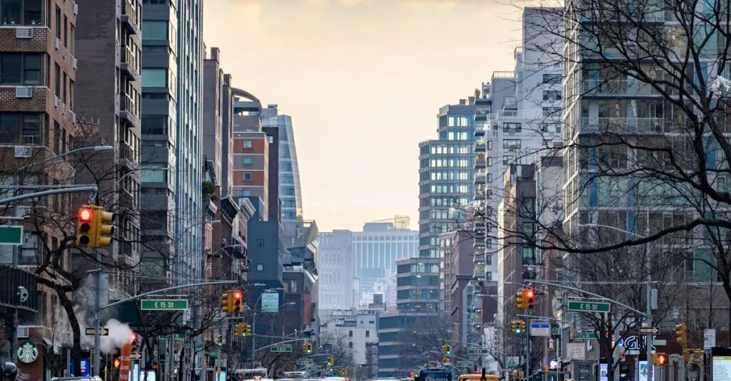 Bus From Washington D.C. To New York City: A Guide For Well-Cultured Travelers 4 Bus Ride from DC to NYC