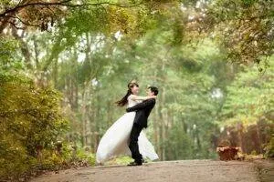 Airport Transfer Articles &Amp; News Freeman November 24, 2025