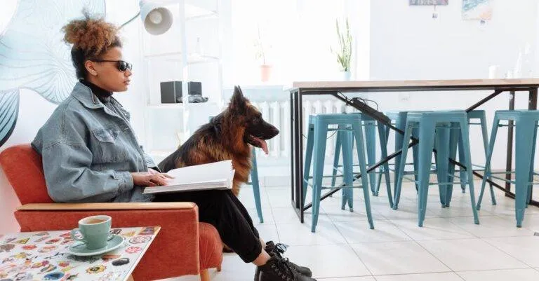 New Jersey Blogs | Articles | News | Tips &Amp; Tricks | Video | Faq | Information | Infograph. Freeman March 5, 2026