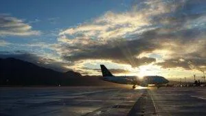 News &Amp; Tips Articles Freeman March 7, 2026