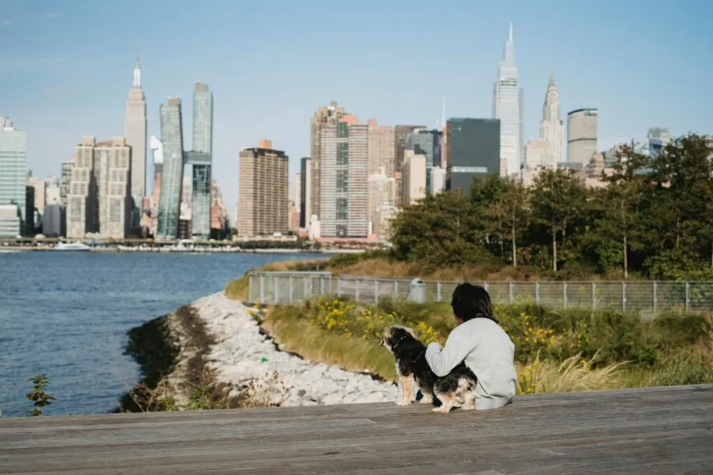 How Much Is A Limo From Jfk To New York? Your Comprehensive 2025 Insider’s Guide 2 March 4, 2026 How Much Is A Limo From Jfk To New York