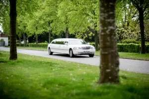 Book A Limousine
