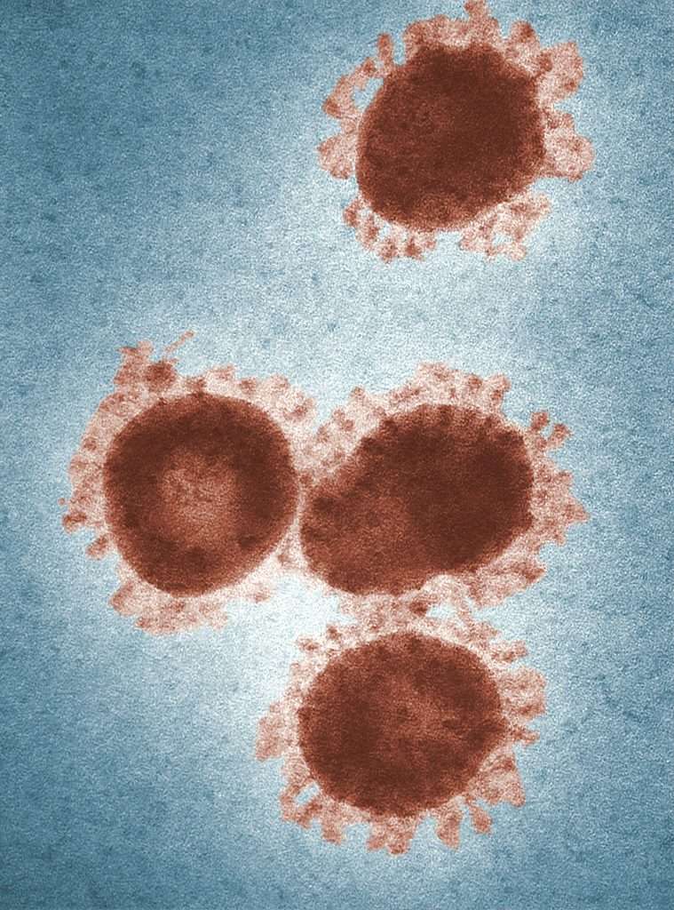 Fight Coronavirus!Boost Immune System By Following 5 Daily Habits. 2 August 8, 2026 Fight Coronavirus